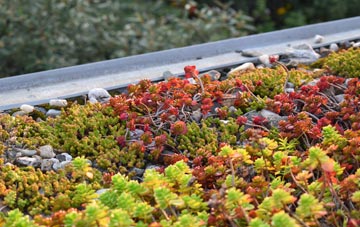 the cost of Auchenback green roof installation