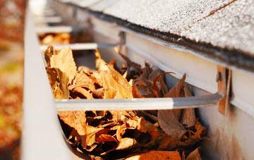 Auchenback gutter cleaning companies